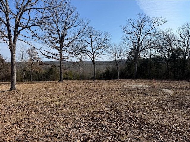 TBD Mc 2063, Yellville, AR 72687 - photo 22