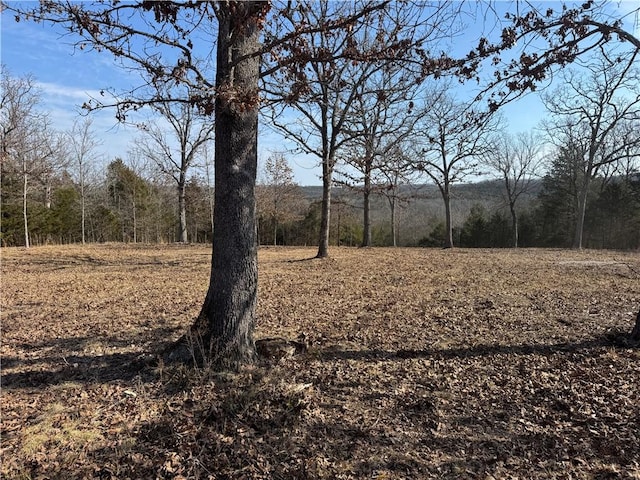 TBD Mc 2063, Yellville, AR 72687 - photo 23