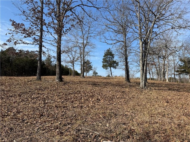 TBD Mc 2063, Yellville, AR 72687 - photo 24