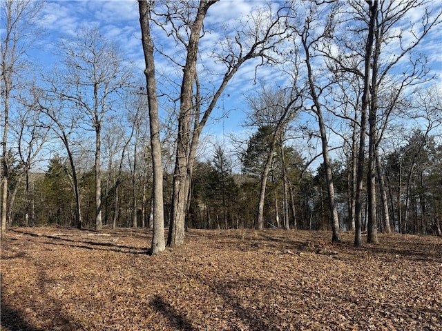 TBD Mc 2063, Yellville, AR 72687 - photo 41