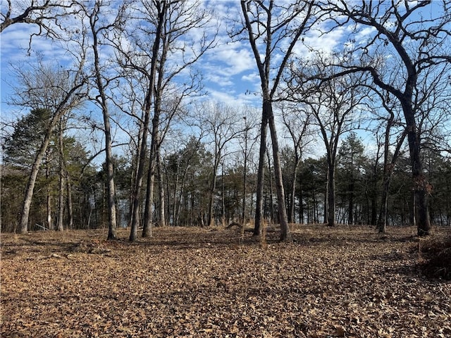 TBD Mc 2063, Yellville, AR 72687 - photo 42