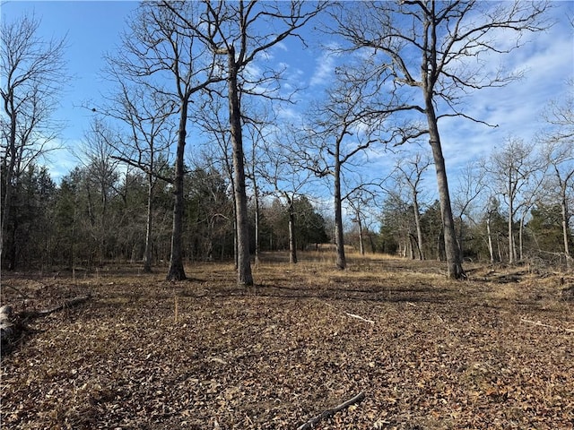 TBD Mc 2063, Yellville, AR 72687 - photo 43