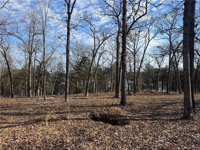 TBD Mc 2063, Yellville, AR 72687 - photo 44