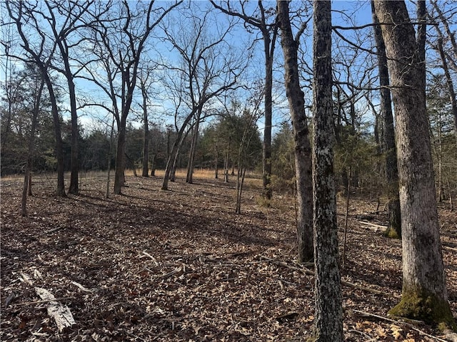 TBD Mc 2063, Yellville, AR 72687 - photo 47