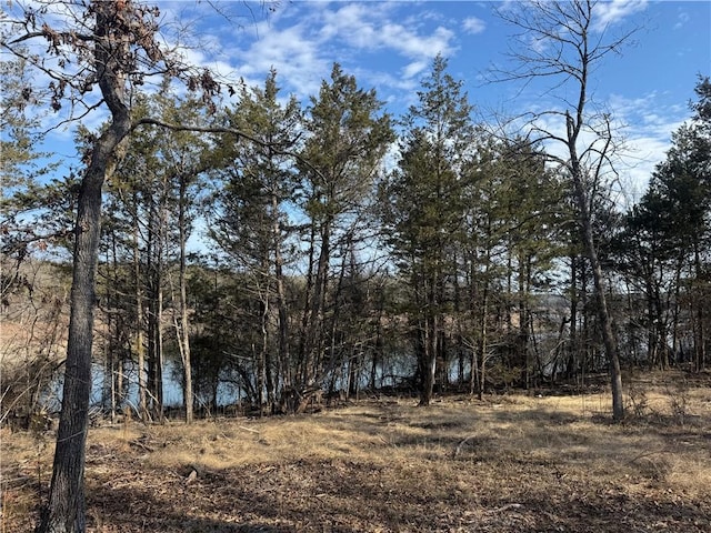 TBD Mc 2063, Yellville, AR 72687 - photo 53