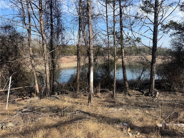 TBD Mc 2063, Yellville, AR 72687 - photo 54