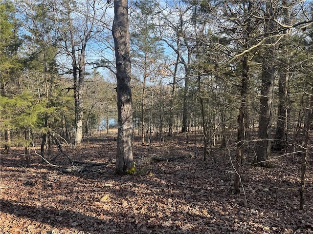 TBD Mc 2063, Yellville, AR 72687 - photo 55