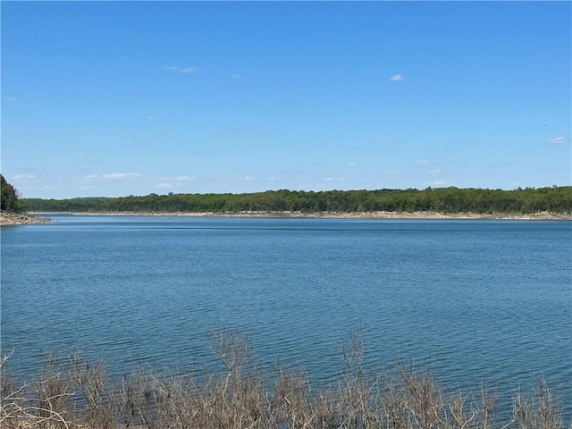 TBD Mc 2063, Yellville, AR 72687 - photo 57