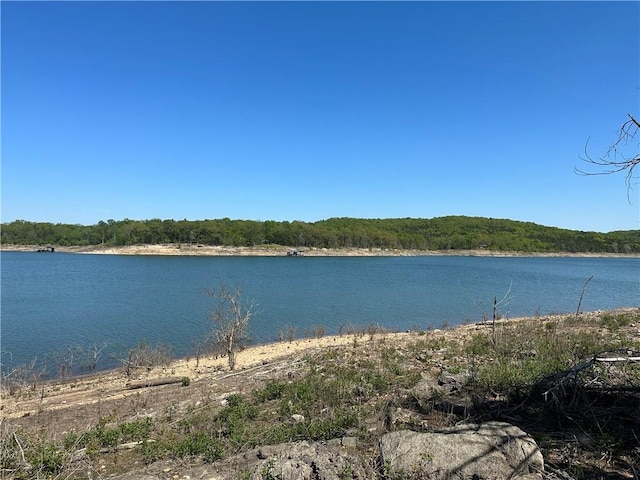 TBD Mc 2063, Yellville, AR 72687 - photo 58