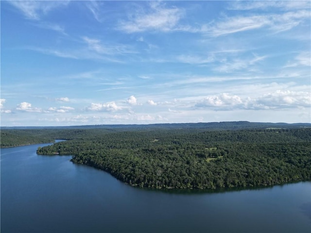TBD Mc 2063, Yellville, AR 72687 - photo 60