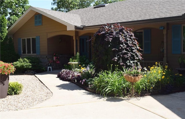 view of front of home with roof with shingles