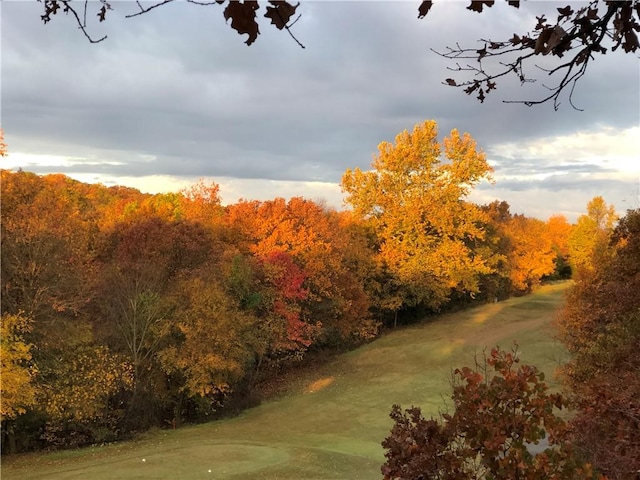 view of home's community featuring a forest view