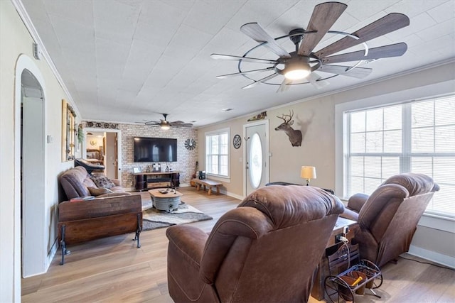 living room featuring a ceiling fan, light wood-style floors, and crown molding