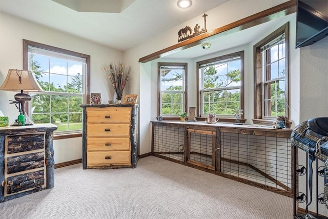 misc room featuring light colored carpet, baseboards, and a healthy amount of sunlight