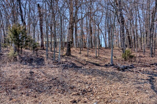 22288 Sunrise Cove Rd, Garfield, AR 72732