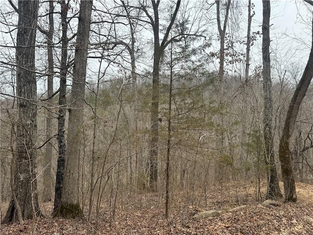 TBD NC-2840, Marble Falls, AR 72648