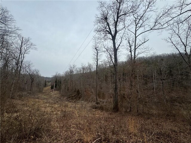 TBD NC-2840, Marble Falls, AR 72648