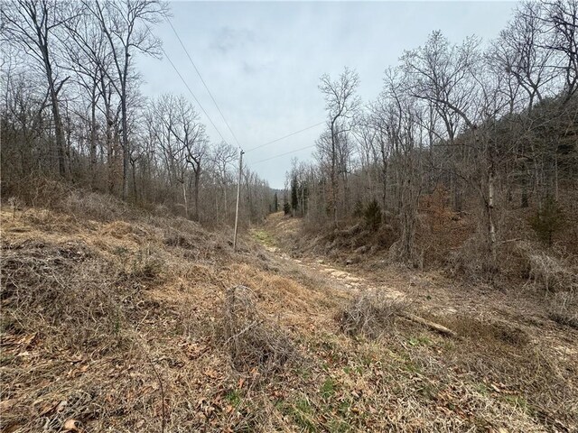 TBD NC-2840, Marble Falls, AR 72648
