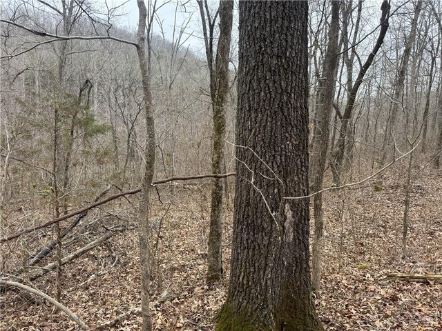 TBD NC-2840, Marble Falls, AR 72648