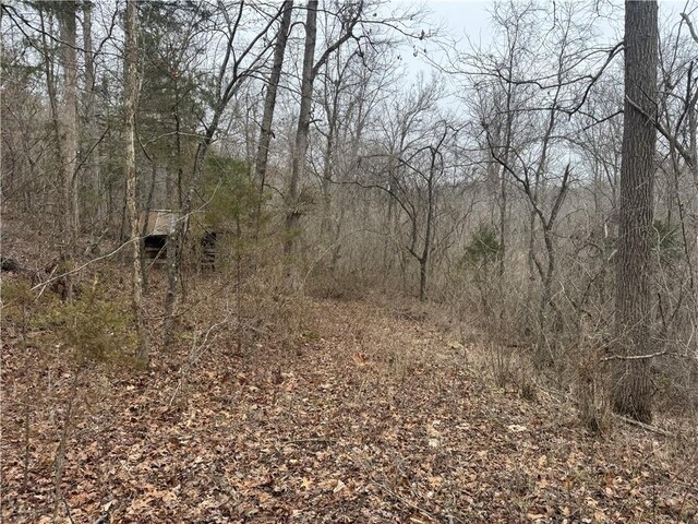 TBD NC-2840, Marble Falls, AR 72648