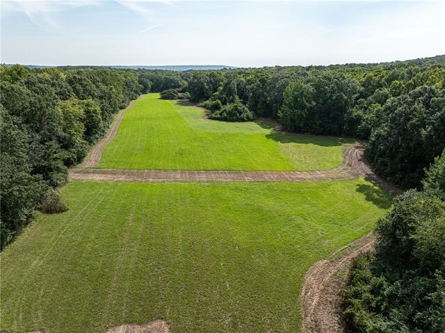 TBD Nauman Bnd, Van Buren, AR 72956 - photo 35