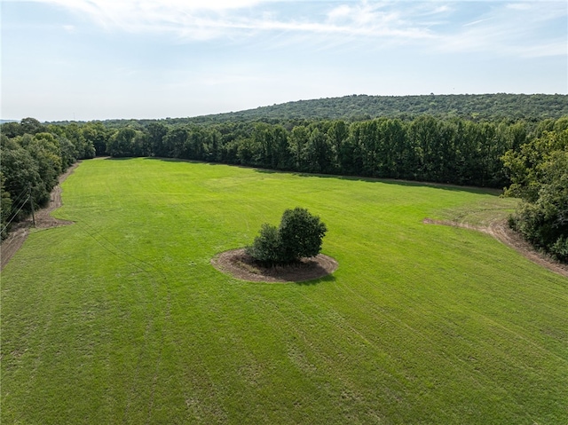 TBD Nauman Bnd, Van Buren, AR 72956 - photo 38