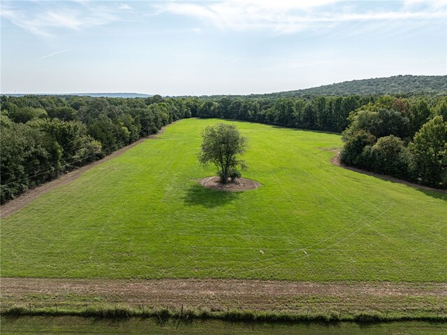 TBD Nauman Bnd, Van Buren, AR 72956 - photo 39