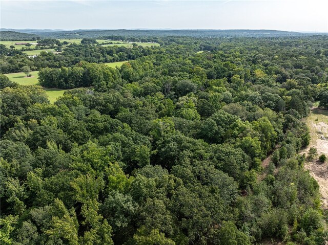 TBD Nauman Bnd, Van Buren, AR 72956 - photo 40