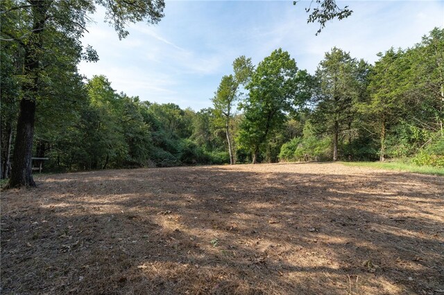 TBD Nauman Bnd, Van Buren, AR 72956 - photo 14