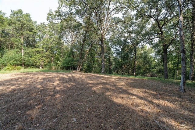 TBD Nauman Bnd, Van Buren, AR 72956 - photo 18