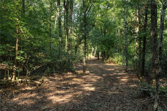 TBD Nauman Bnd, Van Buren, AR 72956 - photo 20