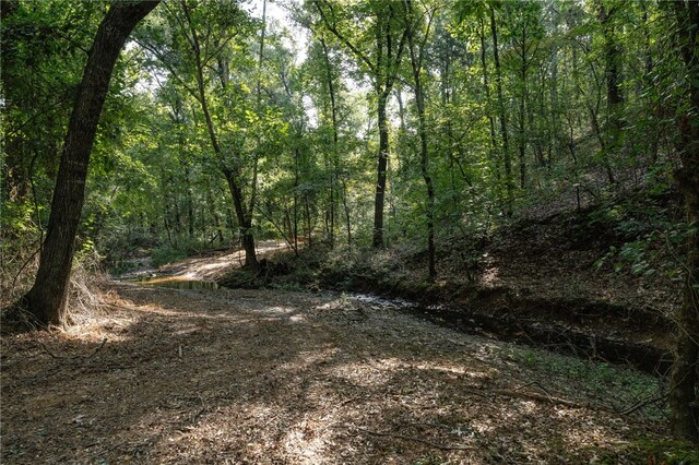 TBD Nauman Bnd, Van Buren, AR 72956 - photo 21