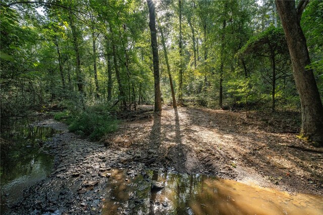 TBD Nauman Bnd, Van Buren, AR 72956 - photo 24