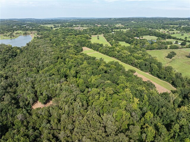 TBD Nauman Bnd, Van Buren, AR 72956 - photo 25