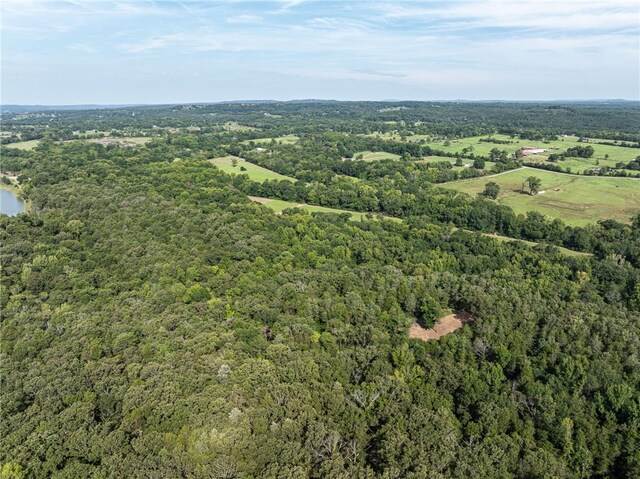 TBD Nauman Bnd, Van Buren, AR 72956 - photo 26