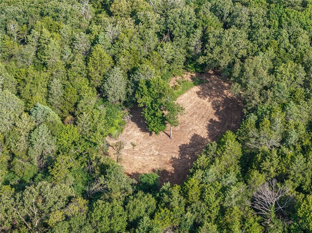 TBD Nauman Bnd, Van Buren, AR 72956 - photo 27