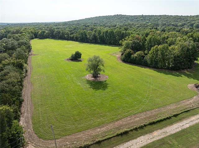 TBD Nauman Bnd, Van Buren, AR 72956 - photo 28
