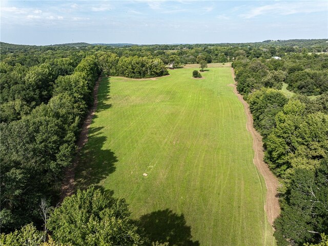 TBD Nauman Bnd, Van Buren, AR 72956 - photo 29