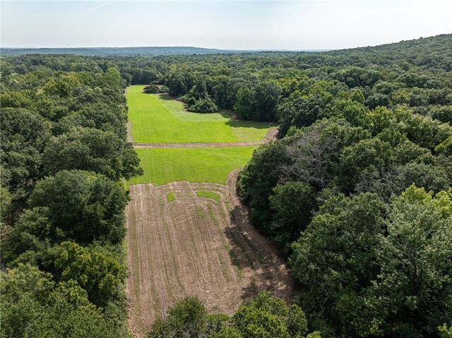 TBD Nauman Bnd, Van Buren, AR 72956 - photo 30