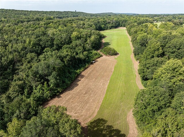 TBD Nauman Bnd, Van Buren, AR 72956 - photo 31