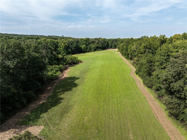 TBD Nauman Bnd, Van Buren, AR 72956 - photo 32