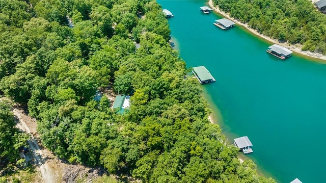 21574 Indian Creek Dr, Garfield, AR 72732 - bird's eye view with a water view