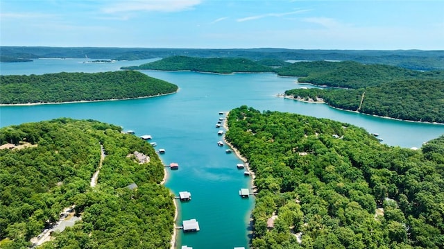 21574 Indian Creek Dr, Garfield, AR 72732 - bird's eye view featuring a wooded view and a water view