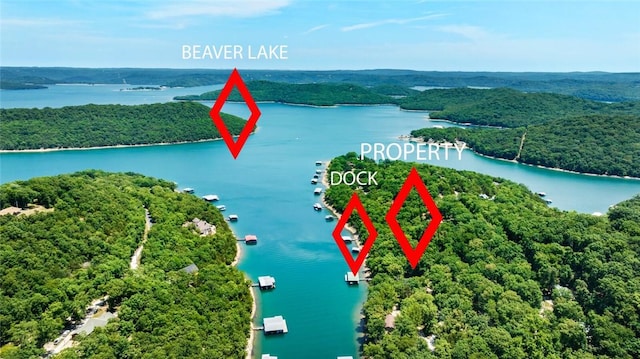 21574 Indian Creek Dr, Garfield, AR 72732 - bird's eye view featuring a wooded view and a water view
