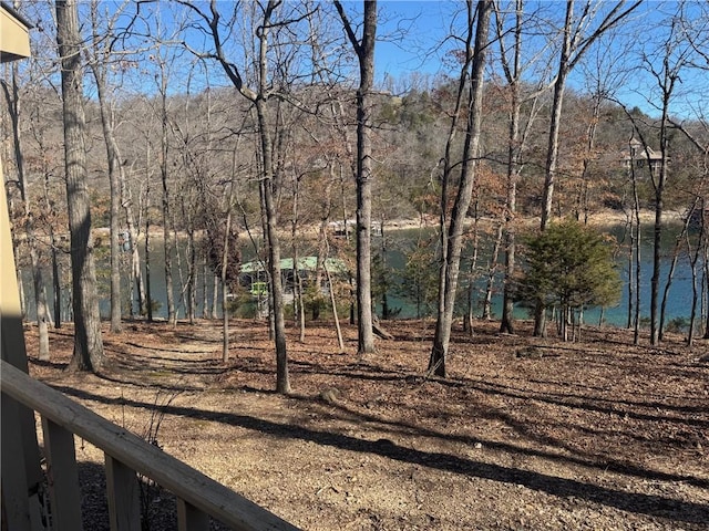 21574 Indian Creek Dr, Garfield, AR 72732 - view of yard