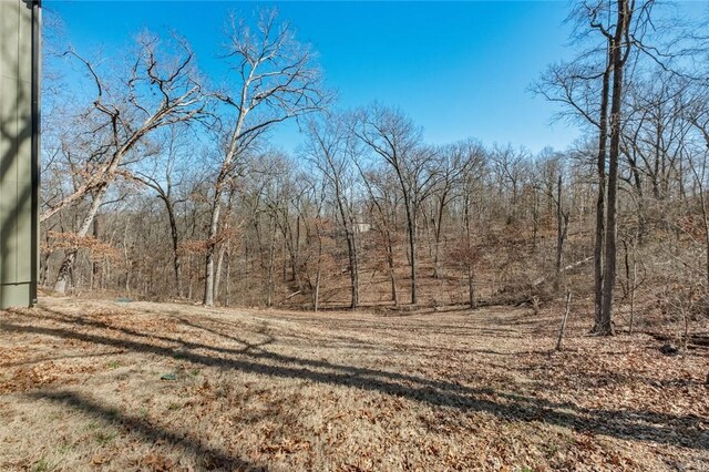 10 Reading Ln, Bella Vista, AR 72714 - exterior space