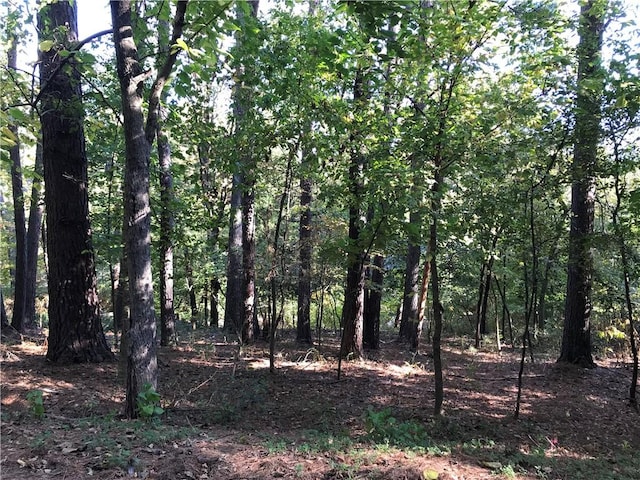 Forfar Dr, Bella Vista, AR 72715
