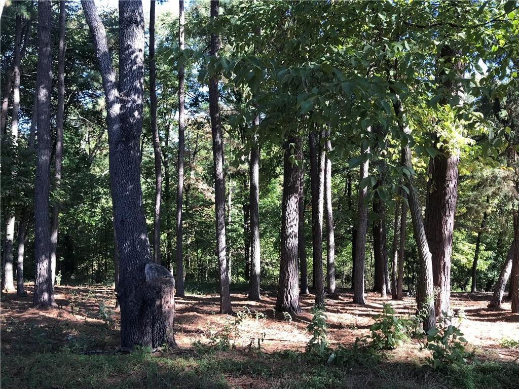 Forfar Dr, Bella Vista, AR 72715 - photo 1