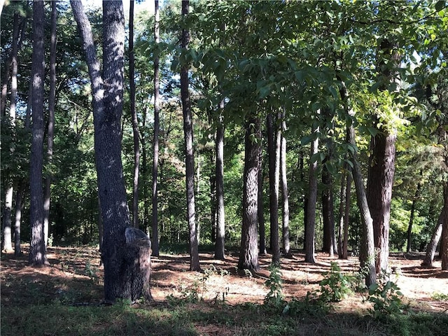 Forfar Dr, Bella Vista, AR 72715 - photo 1