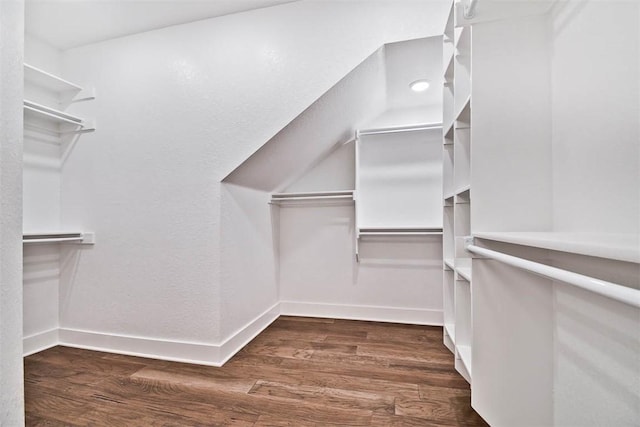 walk in closet featuring wood finished floors
